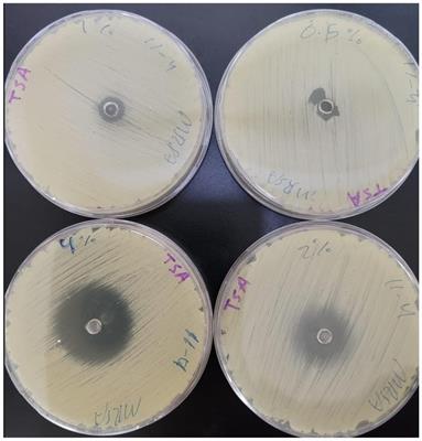 Assessment of carvacrol-antibiotic combinations’ antimicrobial activity against methicillin-resistant Staphylococcus aureus